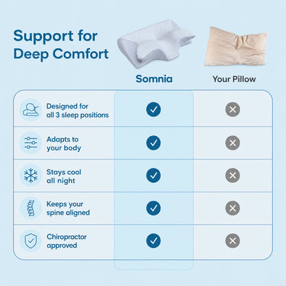 Somnia™ Ergonomic Pillow